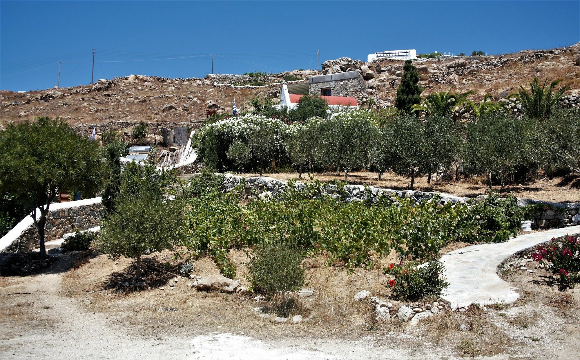 Mykonos Moussa Villa Agios Ioannis Diakoftis Exteriör bild